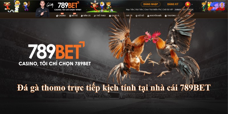Đá gà thomo trực tiếp kịch tính tại nhà cái 789BET